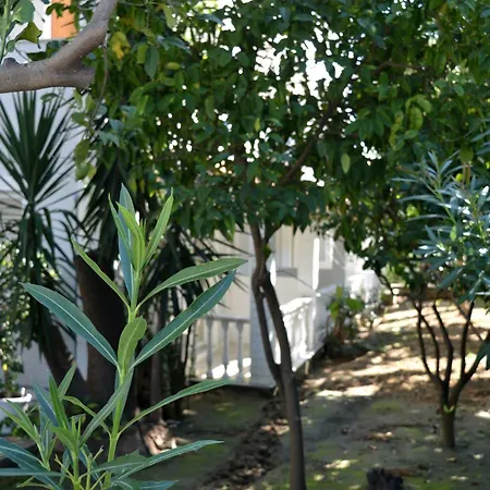 ホテル Paradise - Adults Only