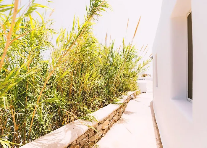 Paradise - Adults Only ホテル