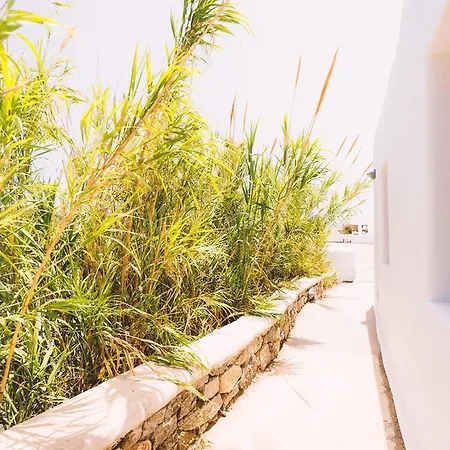 Paradise - Adults Only Hotel