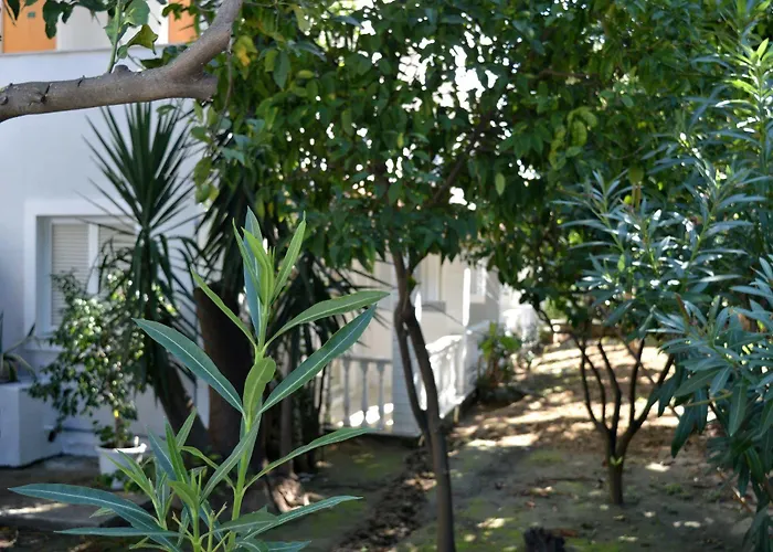 Hotel Paradise - Adults Only